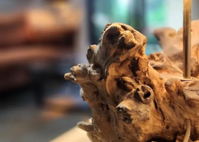 Appartement Luxury Apartments, Self Check In 24 H & Free Parking